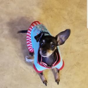 Meet your Posher, Kim